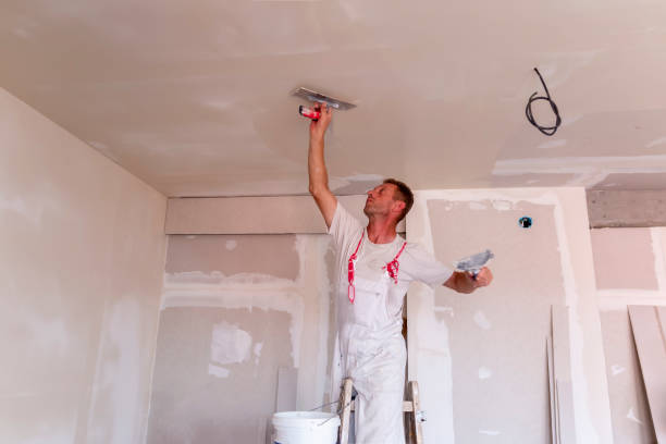 Best Repainting for Renovations  in Layhill, MD